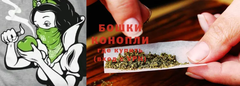 darknet Telegram  закладки  Сафоново  Бошки Шишки OG Kush 